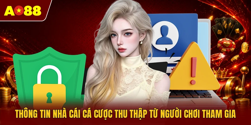 Thông tin nhà cái cá cược thu thập từ người chơi tham gia